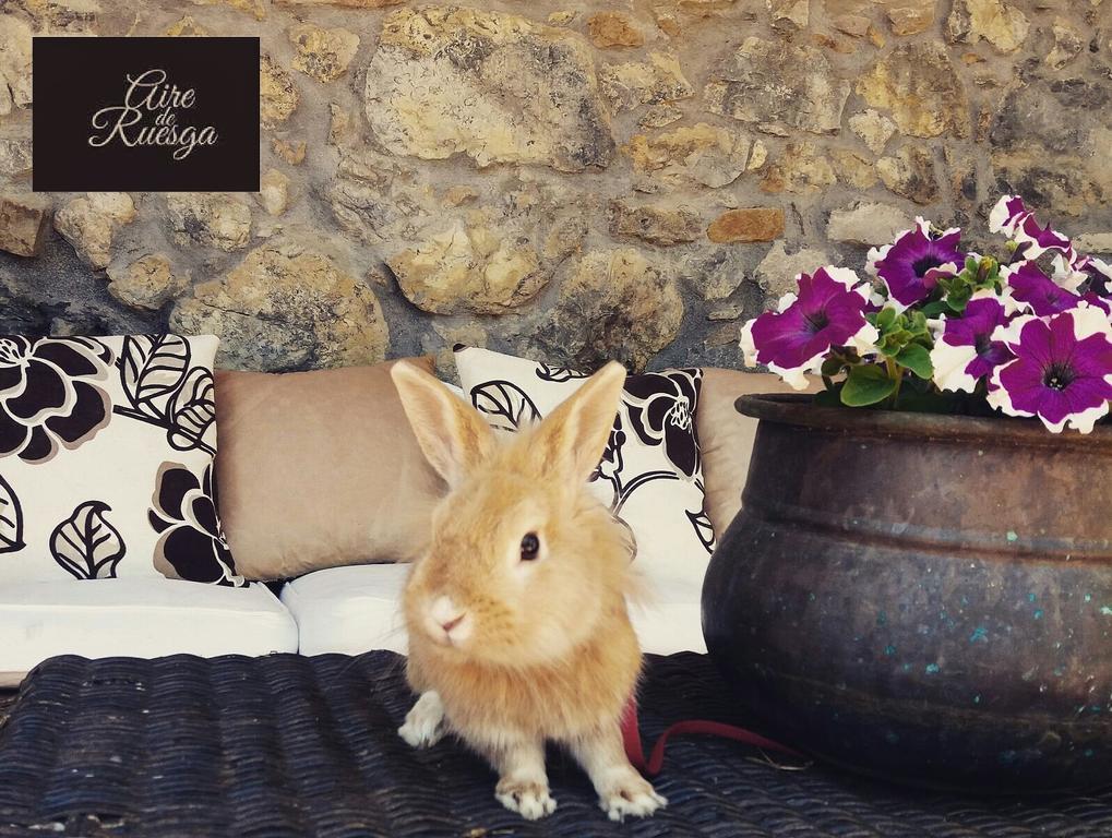 Hotel Aire De Ruesga Zewnętrze zdjęcie
